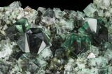 Fluorite Crystal Cluster - Rogerley Mine #99452-2